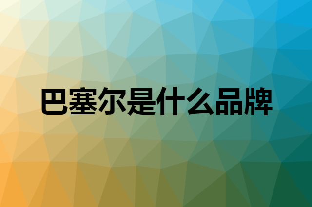 巴塞尔是什么品牌，怎么加入自己的供应链？